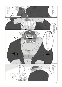 Page 29 of Honmani Komatta Aikatayade! - preview thumbnail