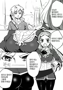 Page 3 of Link to Zelda no Shoshinsha ni Yasashii Sex Nyuumon | 링크와 젤다의 초심자에게 상냥한 섹스입문 - preview thumbnail