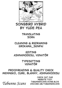 Page 27 of Yobukodori Hybrid | Songbird Hybrid - preview thumbnail