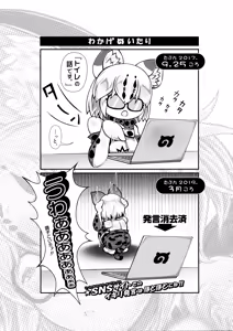 Page 25 of Margay no PPP Management - preview thumbnail