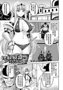 Inmon Dorei no Princess — hentai manga cover on Fhentai