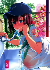 Akane wa Tsumare Somerareru - hentai manga cover image