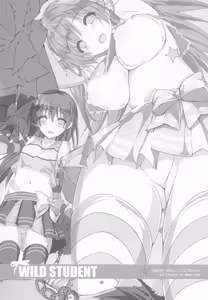 Page 29 of WILD STUDENT - preview thumbnail