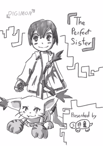 The perfect Sister — hentai manga cover on Fhentai