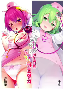 Komeiji Nurse no Echi Echi Kango Nisshi — hentai manga cover on Fhentai