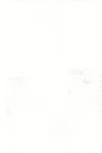 Page 2 of Vibe In Pants Hon - vibrator in panties | 바이브 인 판츠 - preview thumbnail