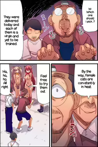 Page 7 of Honjitsu, Joshi Neko Nyuuka Shimashita! | New Female Cats in Stock Today - preview thumbnail