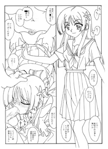 Page 25 of Nanka Iroiro 2 - preview thumbnail