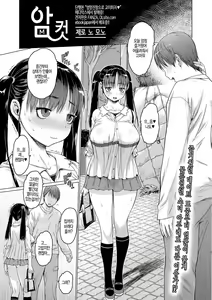 Mesu | 암컷 — hentai manga cover on Fhentai