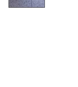 Page 1671 of Lust Awakening - preview thumbnail
