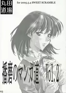 Page 2 of School Rumble Harima no Manga Michi Vol. 2 - preview thumbnail