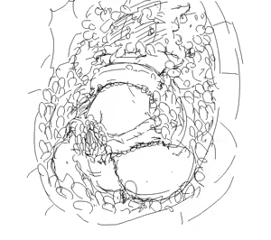 Page 710 of Akaishi Shiroishi - preview thumbnail