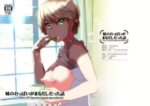Imouto no Oppai ga Marudashi Datta Hanashi — hentai manga cover on Fhentai