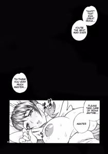 Page 21 of Yukiyanagi no Hon 11 Iroha Gohoushi - preview thumbnail