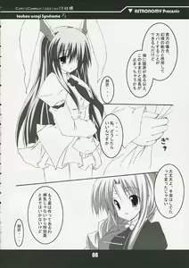 Page 8 of touhou usagi Syndrome Ro - preview thumbnail