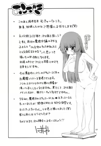 Page 17 of Touhou Meiko ~Patchouli Hen~ - preview thumbnail