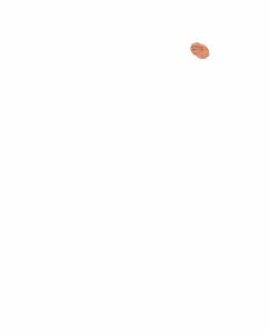Page 63 of MilkTube2DX - preview thumbnail