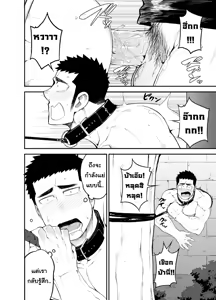 Page 24 of capture:2 - preview thumbnail