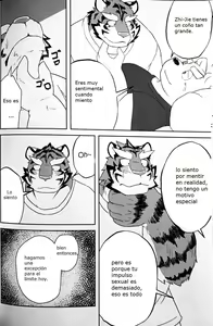 Page 12 of GAP - preview thumbnail