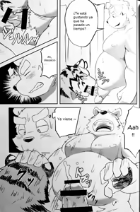 Page 15 of GAP - preview thumbnail