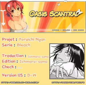 Page 29 of Yoruichi Nyan no Hon 2 - preview thumbnail