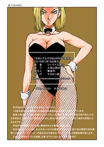 Page 19 of 18 to Bulma no Bunnygirl ni Kanpai! - preview thumbnail