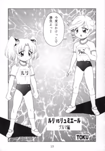 Page 14 of RURIMIX SP - preview thumbnail