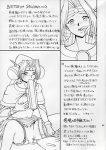 Page 42 of CAMELEON TECHNOLOGY 3 - preview thumbnail
