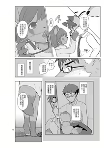 Page 17 of Henshin Jisshuu Report - preview thumbnail