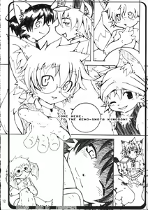 Page 11 of Kemoshota Dai Zukan - preview thumbnail