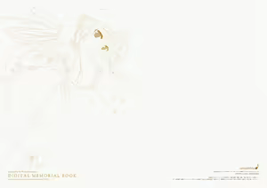 Page 55 of ensemble 10th Anniversary Digital Memorial Book - preview thumbnail