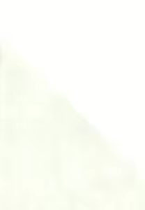 Page 22 of ●REC - preview thumbnail