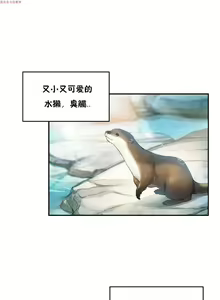 Page 351 of 中文韩漫 初恋豚鼠 ch.1-10 - preview thumbnail