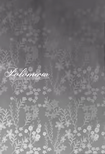 Page 2 of POLOMERIA - preview thumbnail