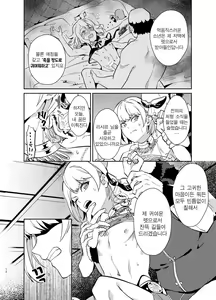 Page 13 of Kedakaki Gizoku wa Kainarasarenai Yami Auction Shuppin Hen | 고상한 의적은 길들여지지 않는다 암거래 출품 편 - preview thumbnail