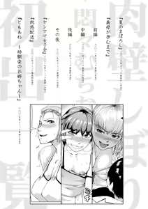 Page 201 of HIDA-SHIBORI -Monmon Muchi Oba Body- - preview thumbnail