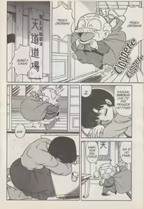 Page 27 of Ranma X - preview thumbnail