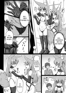 Page 25 of FOX MANIAX2 - preview thumbnail
