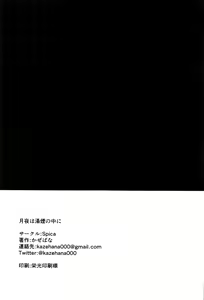 Page 29 of Tsukiyo wa Yukemuri no Naka ni - preview thumbnail