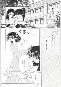 Page 24 of Shiawase no Neiro - preview thumbnail