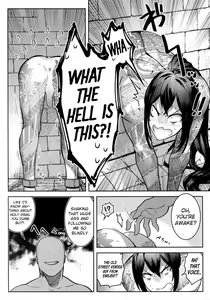 Page 5 of HAME RARE SHINSHIN - preview thumbnail
