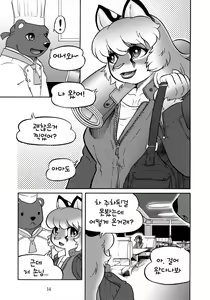Page 13 of Fulily - preview thumbnail