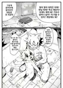 Page 76 of Kemo Nii-san 3 | 케모형아 3 - preview thumbnail