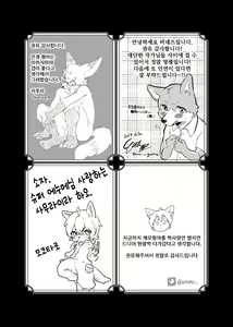 Page 93 of Kemo Nii-san 3 | 케모형아 3 - preview thumbnail