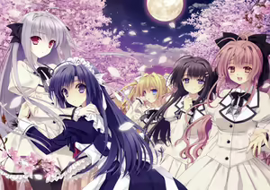 Tsuki ni Yorisou Otome no Sahou official visual fanbook — hentai manga cover on Fhentai