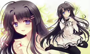 Page 13 of Tsuki ni Yorisou Otome no Sahou official visual fanbook - preview thumbnail