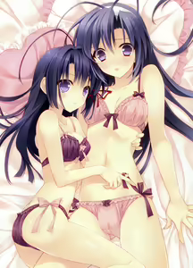 Page 26 of Tsuki ni Yorisou Otome no Sahou official visual fanbook - preview thumbnail