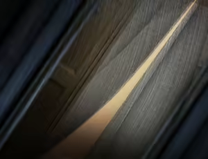 Page 860 of Double Exposure - preview thumbnail