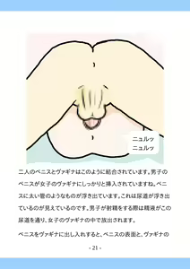 Page 21 of Shishunki no Tame no Sex no Hon - preview thumbnail