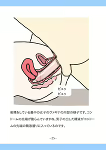 Page 25 of Shishunki no Tame no Sex no Hon - preview thumbnail